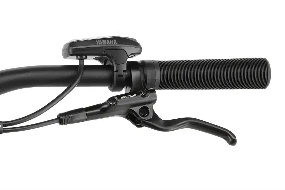 Rower elektryczny R-raymon Hardray Select