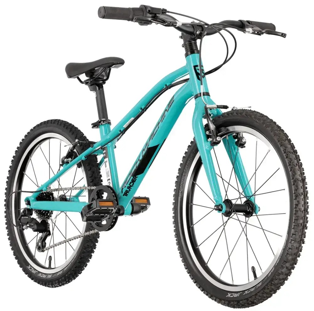 Rower dziecięcy Rock Machine Thunder 20 VB