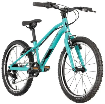 Rower dziecięcy Rock Machine Thunder 20 VB