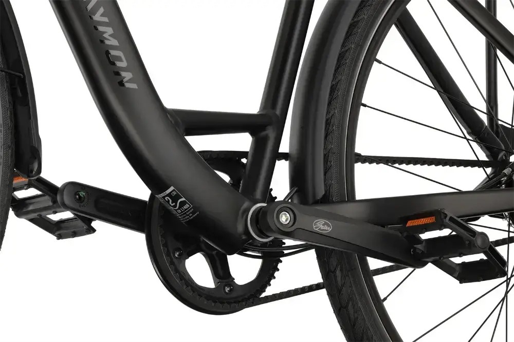 Rower trekkingowy R-raymon Zayn Ultra