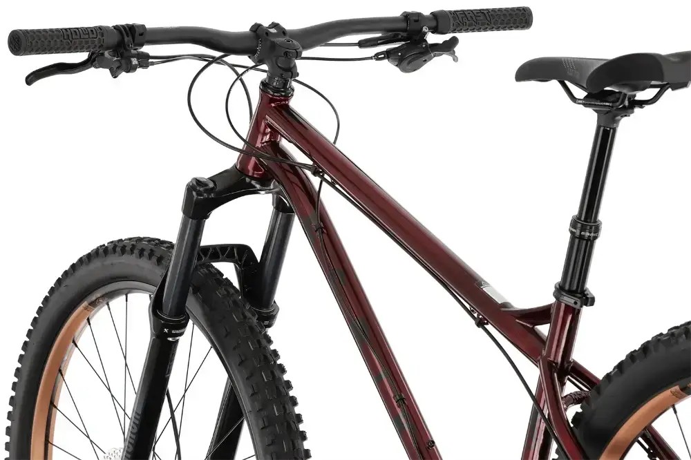 Rower Mtb NS Bikes Eccentric Cromo 29