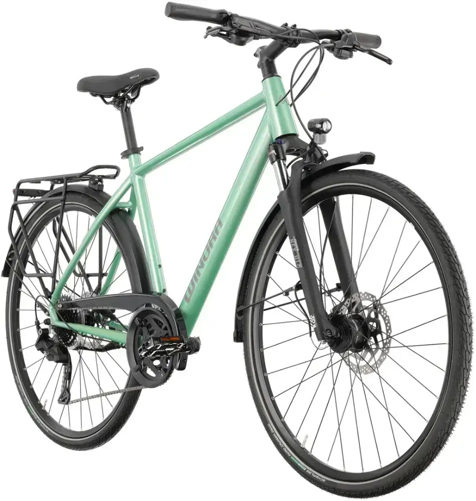 Rower trekkingowy Winora Domingo X18