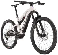 Electric bike R-raymon Trailray 150