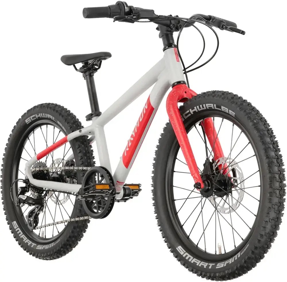 Rower dziecięcy R-raymon Yanga 20 Pro