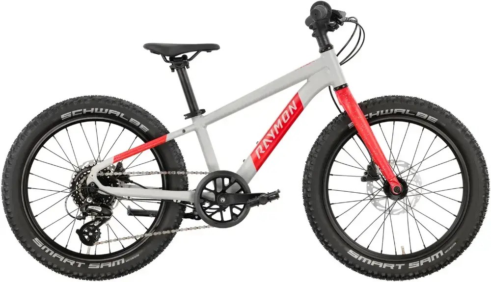 Rower dziecięcy R-raymon Yanga 20 Pro