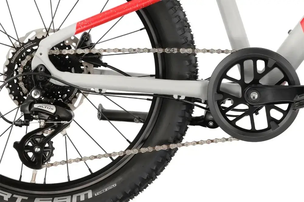 Rower dziecięcy R-raymon Yanga 20 Pro