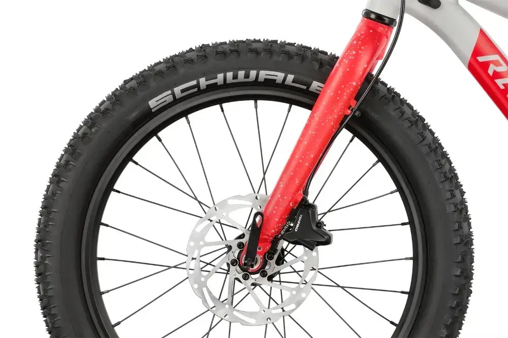 Rower dziecięcy R-raymon Yanga 20 Pro