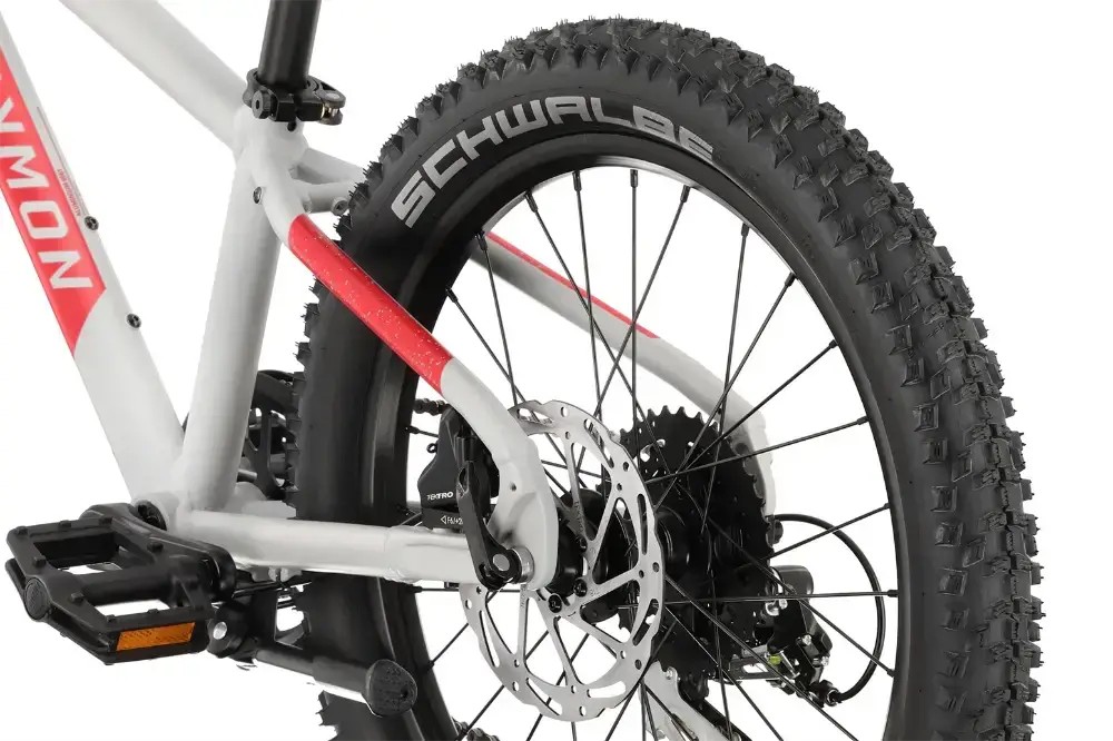 Rower dziecięcy R-raymon Yanga 20 Pro