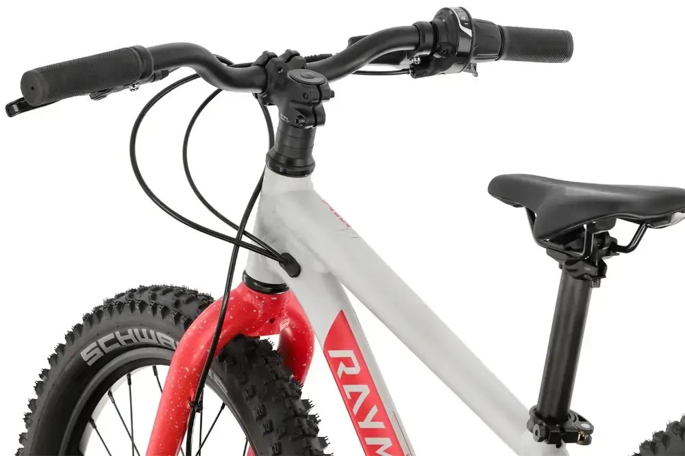 Rower dziecięcy R-raymon Yanga 20 Pro