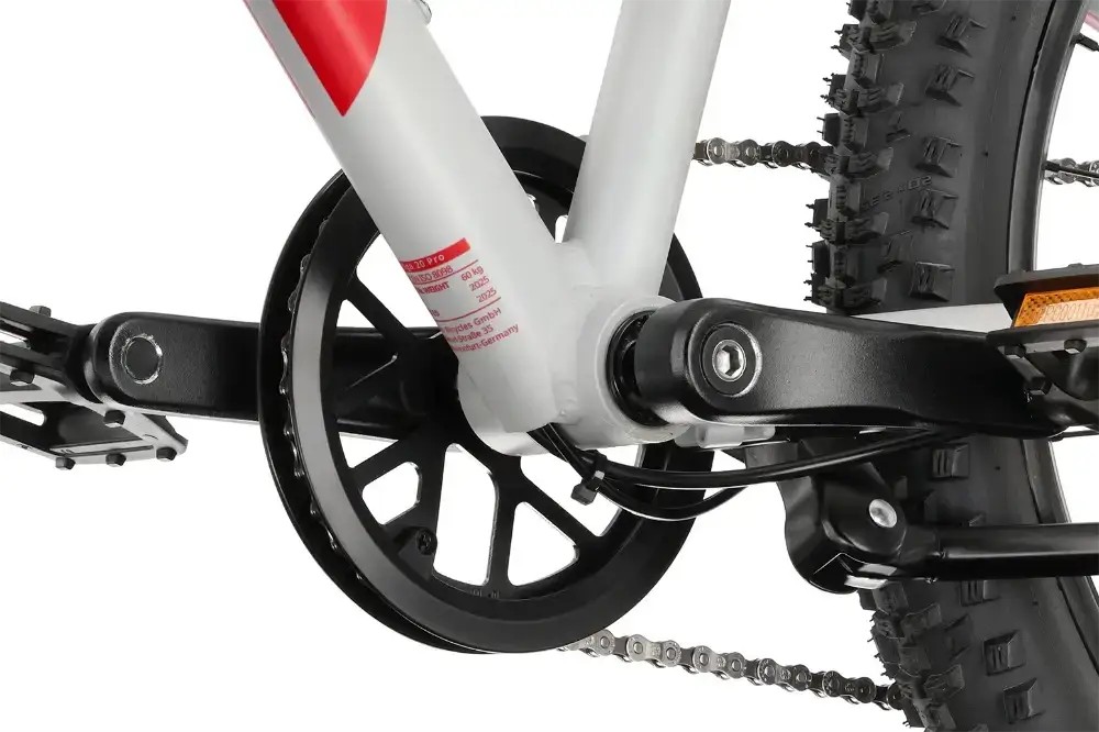 Rower dziecięcy R-raymon Yanga 20 Pro