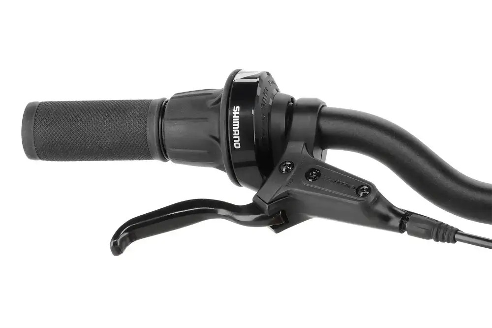 Rower dziecięcy R-raymon Yanga 20 Pro