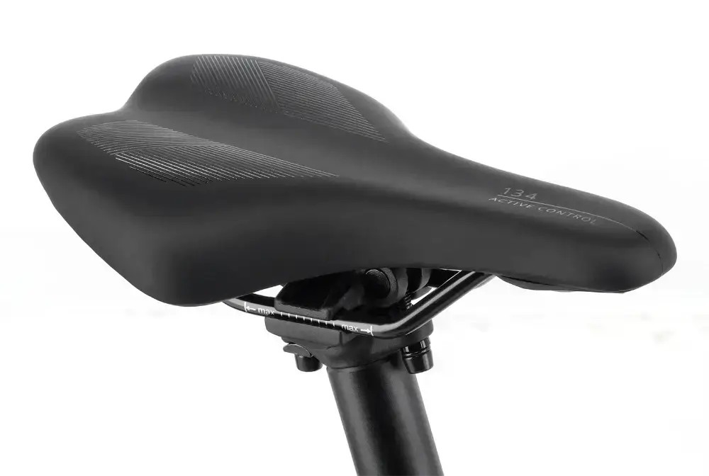 Rower dziecięcy R-raymon Yanga 20 Pro