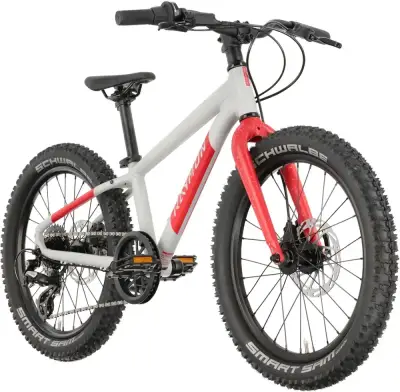 Rower dziecięcy R-raymon Yanga 20 Pro