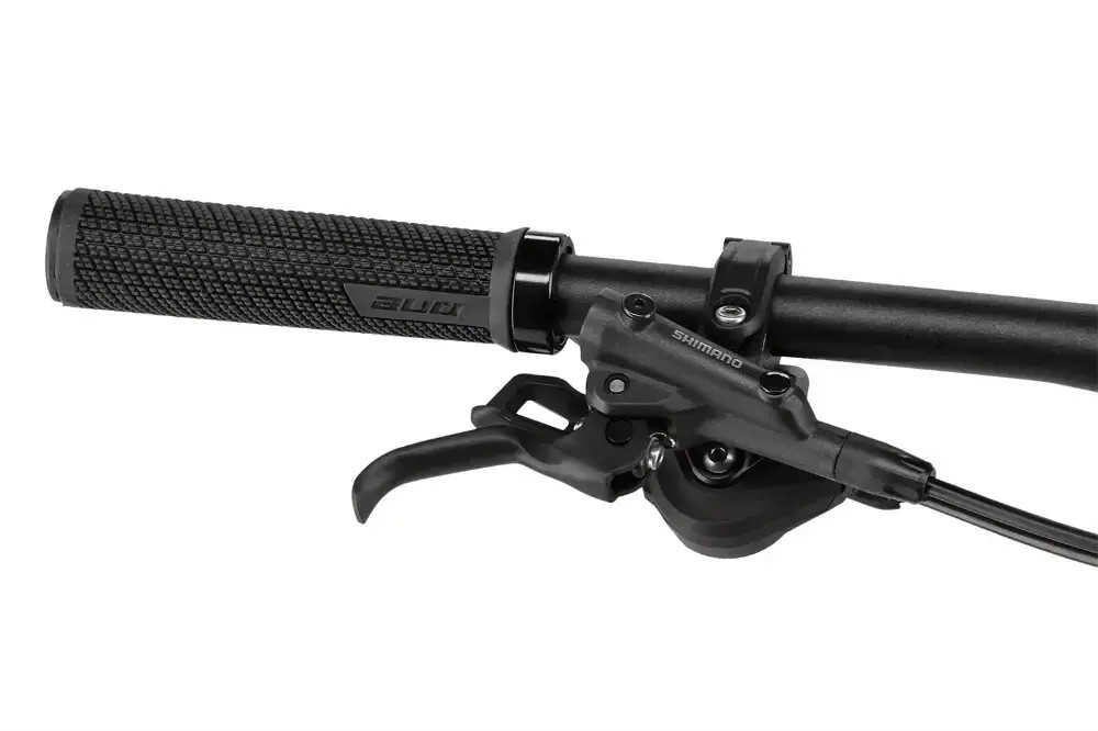 Rower elektryczny Superior eXF 9039