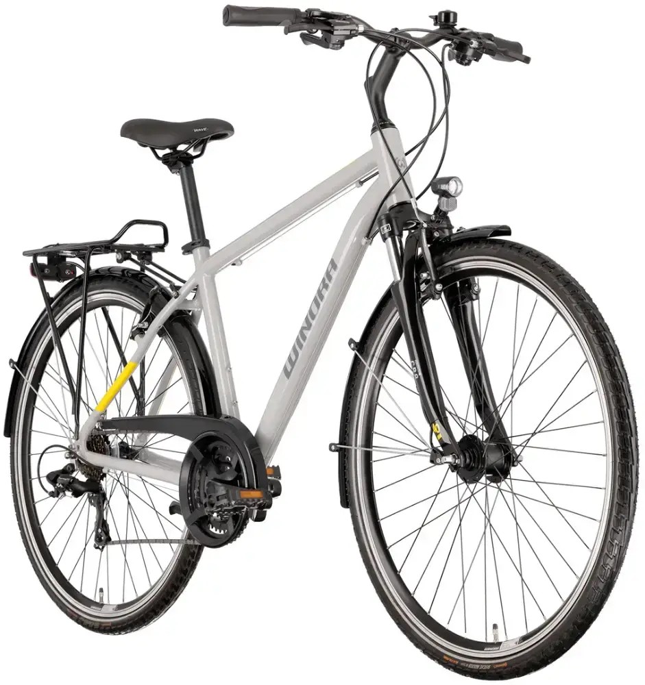 Rower trekkingowy Winora Domingo 21