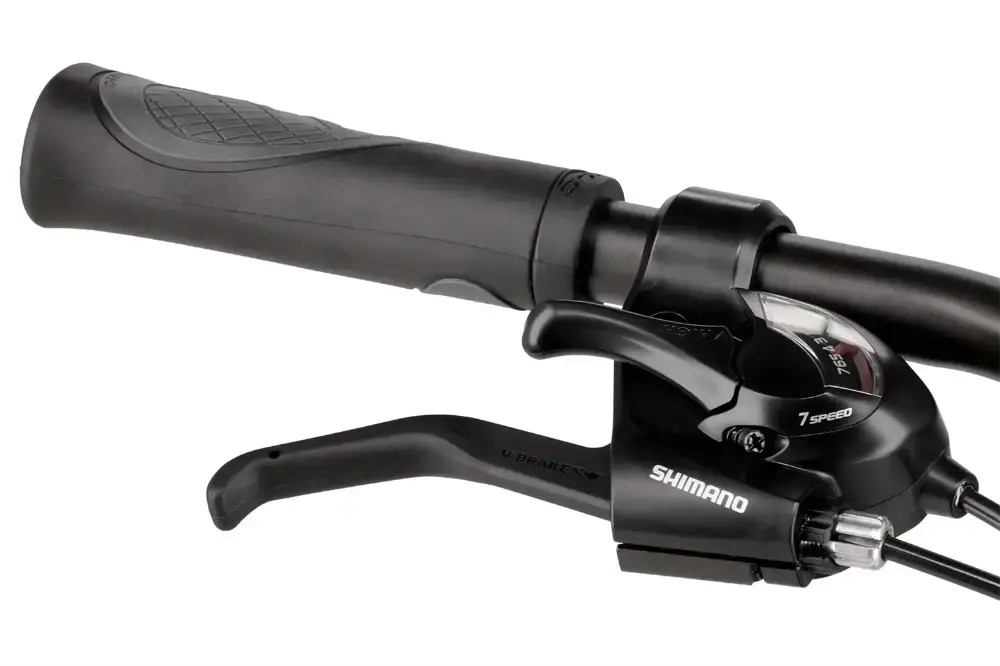 Rower trekkingowy Winora Domingo 21