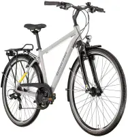 Rower trekkingowy Winora Domingo 21