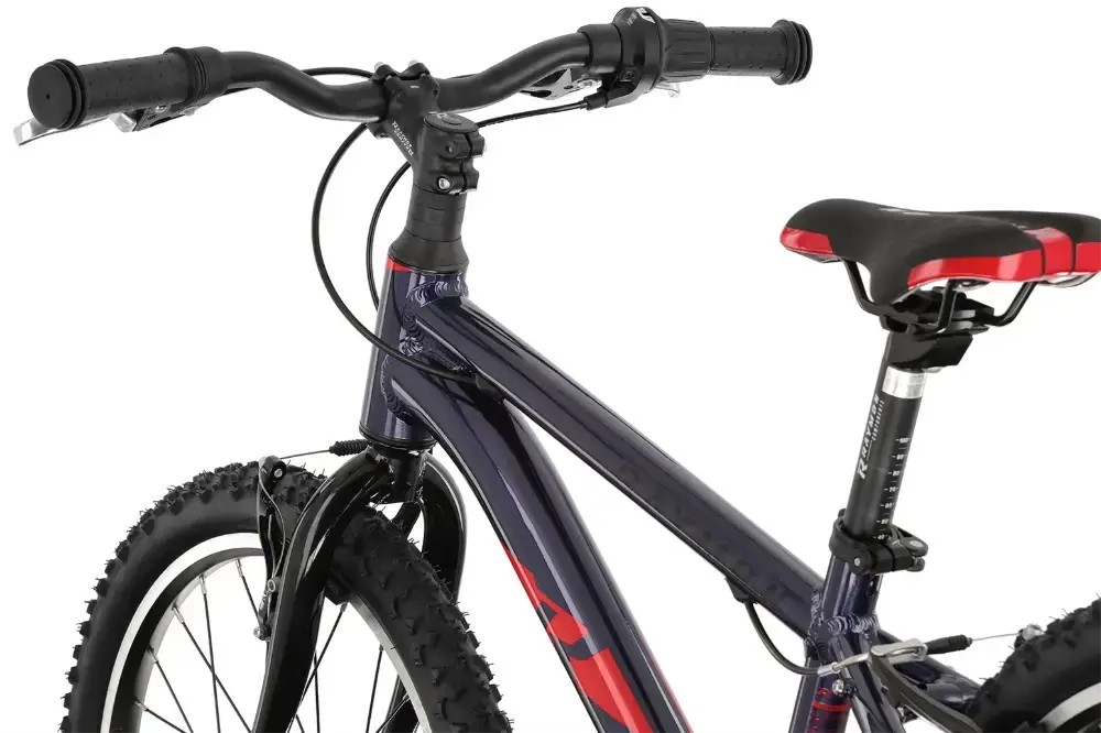 Rower dziecięcy R-raymon TwoRay 1.0