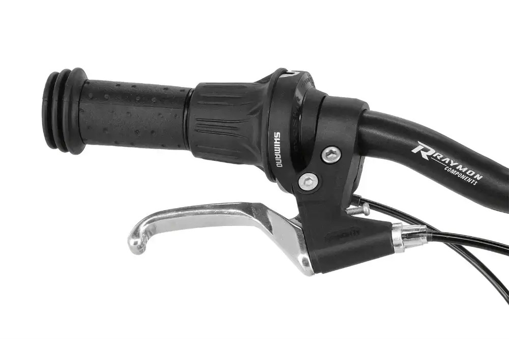 Rower dziecięcy R-raymon TwoRay 1.0