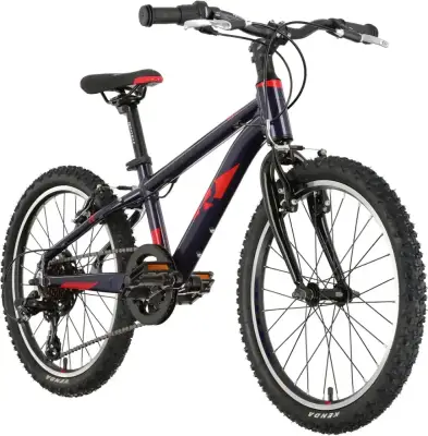 Rower dziecięcy R-raymon TwoRay 1.0