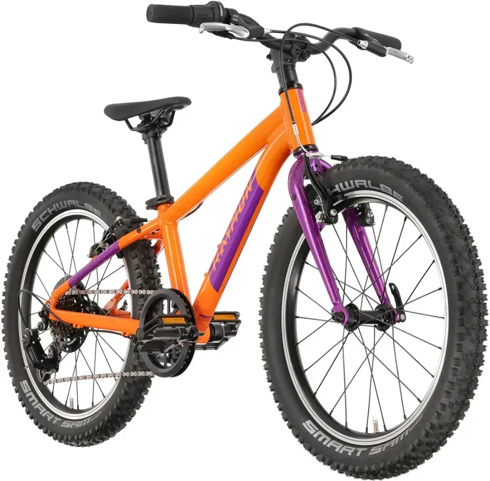 Rower dziecięcy R-raymon Yanga 20