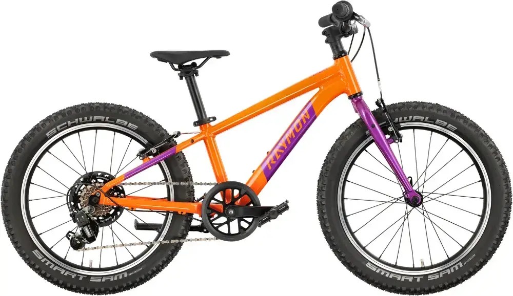 Rower dziecięcy R-raymon Yanga 20