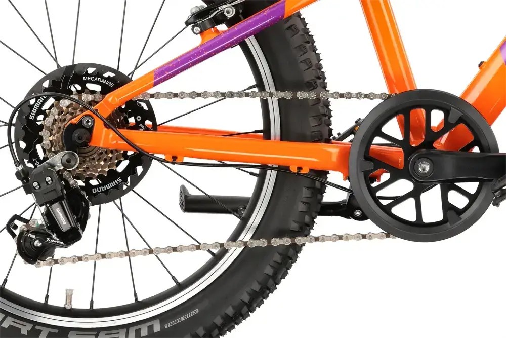 Rower dziecięcy R-raymon Yanga 20