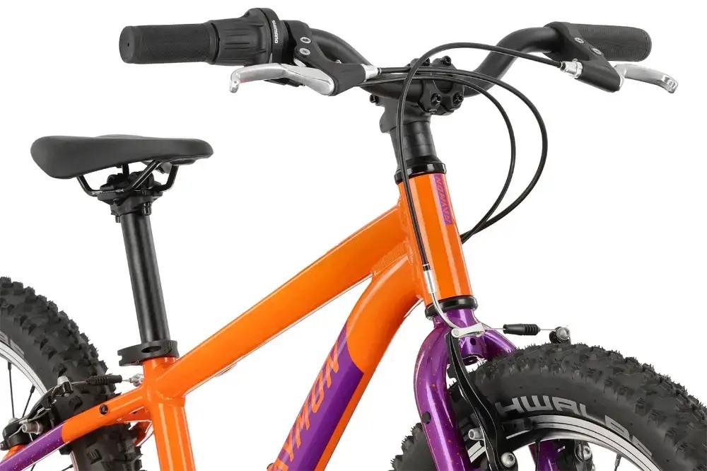 Rower dziecięcy R-raymon Yanga 20