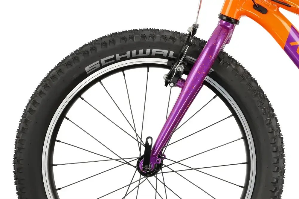 Rower dziecięcy R-raymon Yanga 20