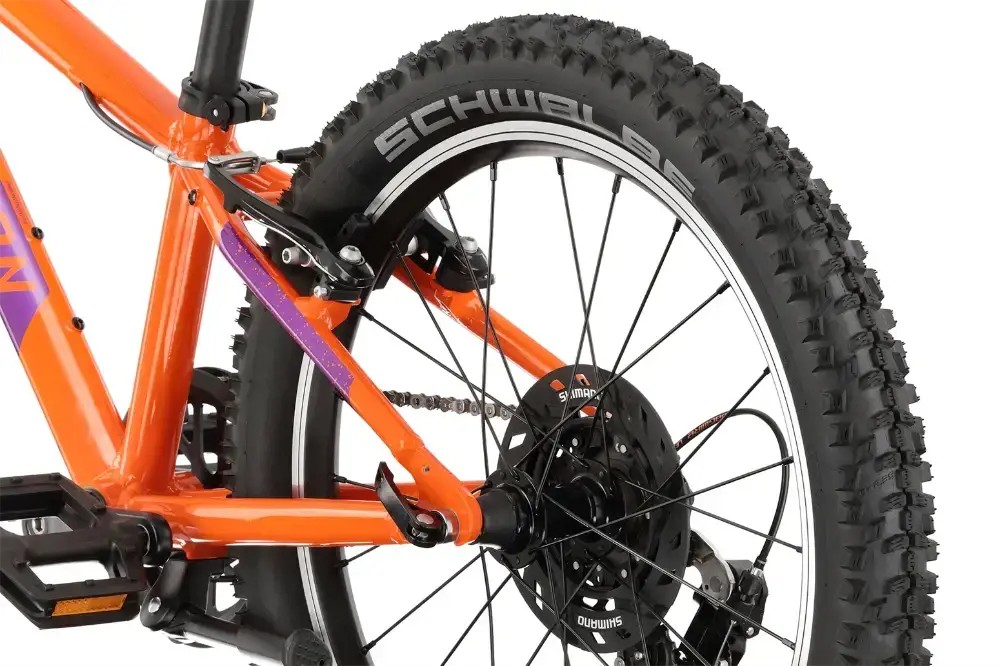 Rower dziecięcy R-raymon Yanga 20