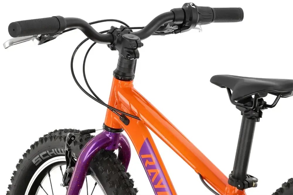 Rower dziecięcy R-raymon Yanga 20