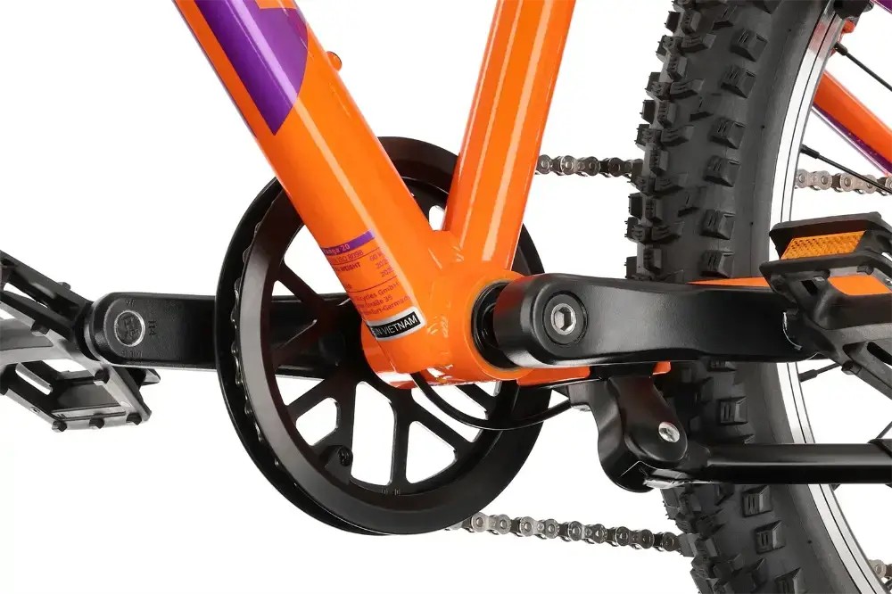 Rower dziecięcy R-raymon Yanga 20