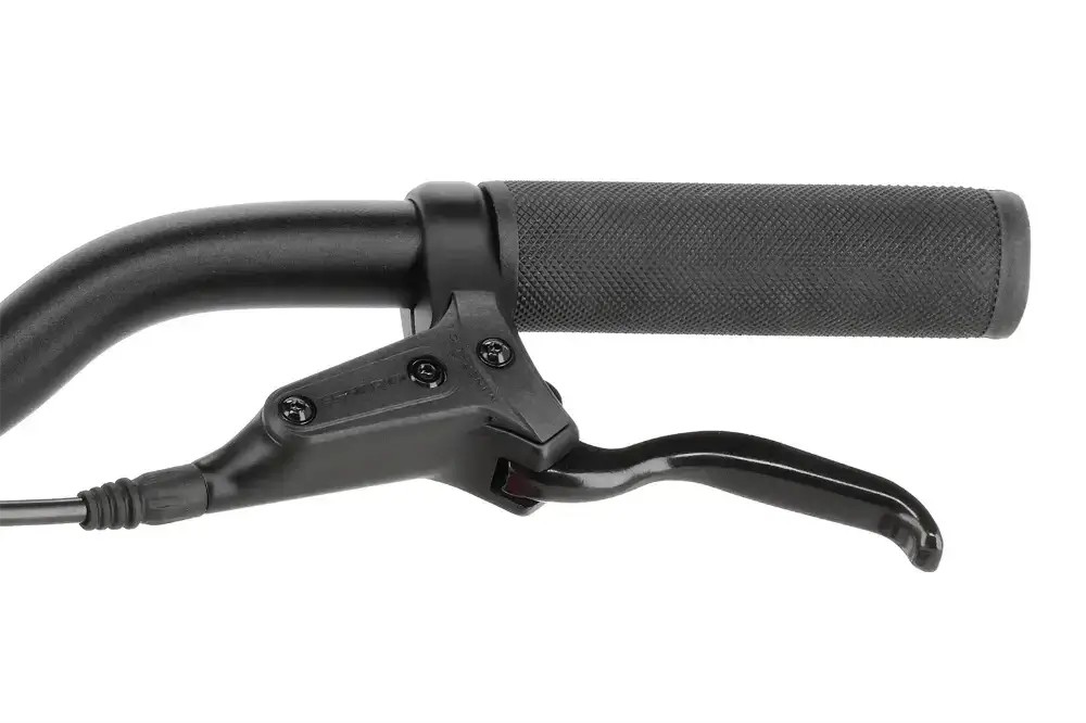 Rower dziecięcy R-raymon Yanga 20