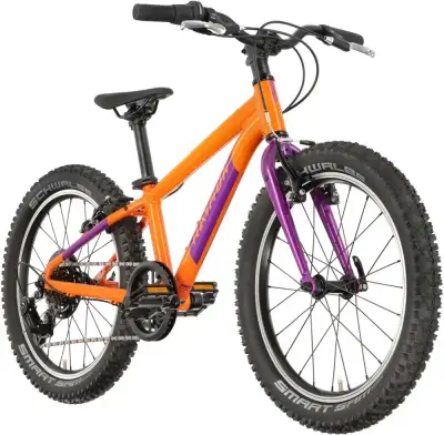 Rower dziecięcy R-raymon Yanga 20