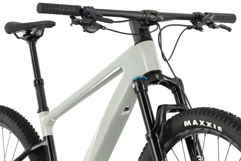 Rower Mtb Focus Raven 8.8