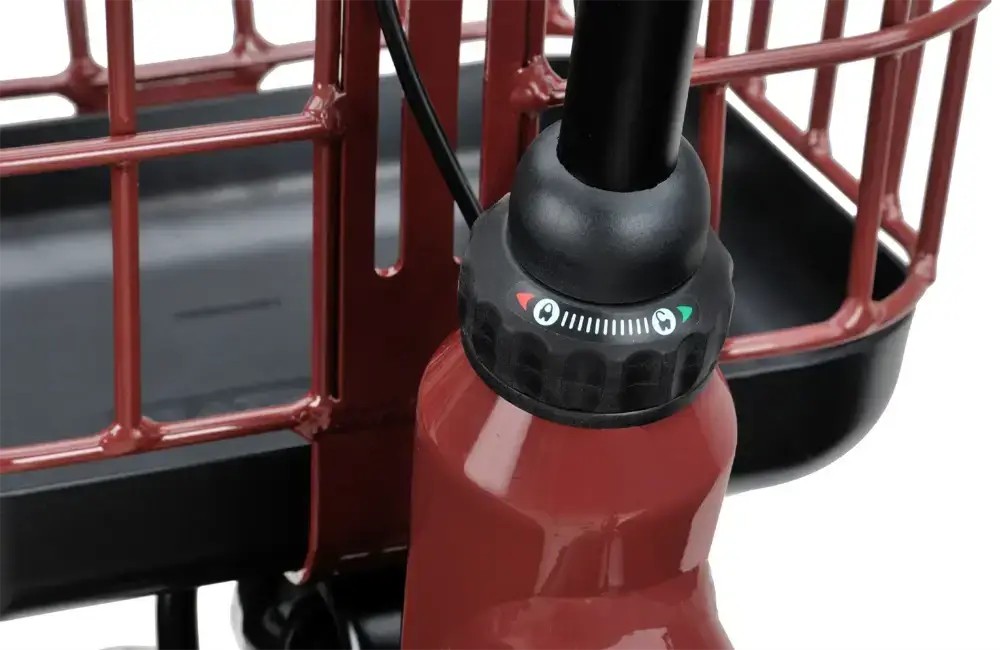 Rower elektryczny Batavus Altura E-Go Power