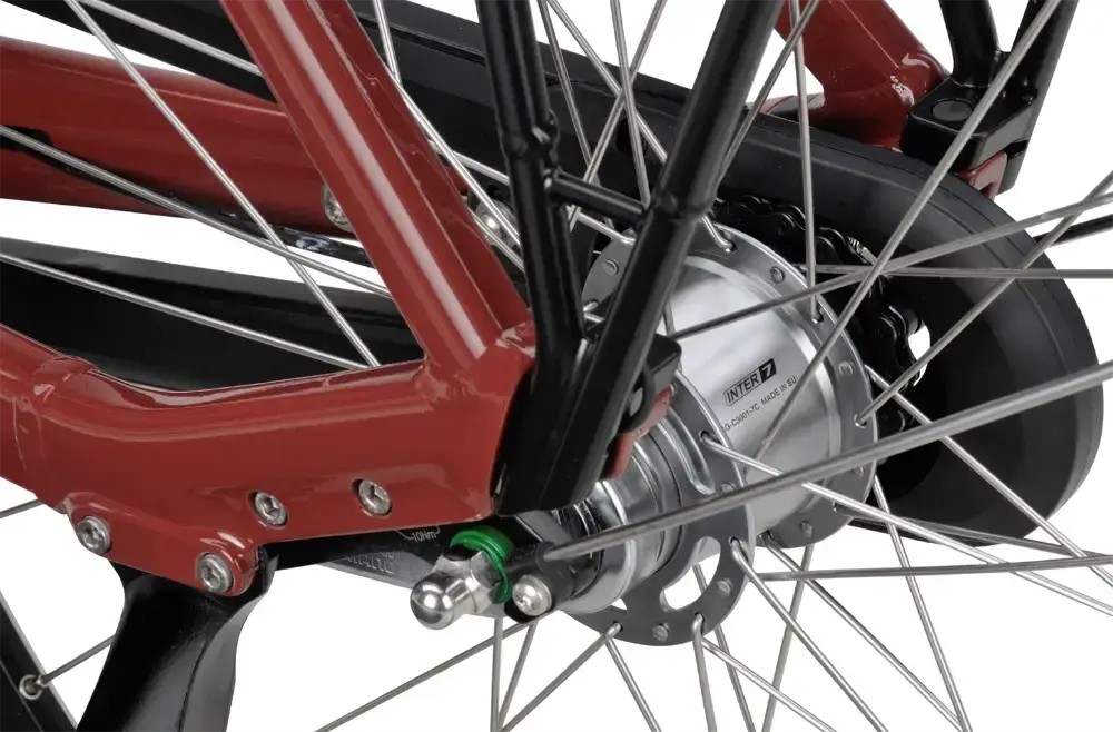 Rower elektryczny Batavus Altura E-Go Power