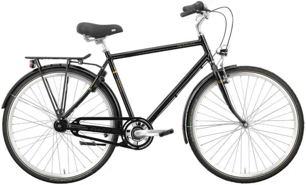 Rower miejski Tunturi Akseli