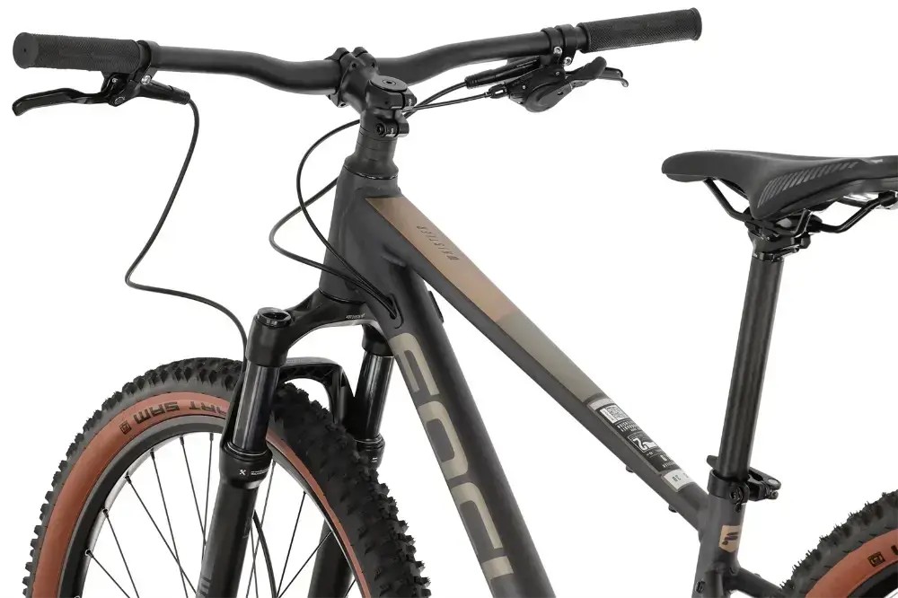 Rower MTB Focus Whistler 3.9