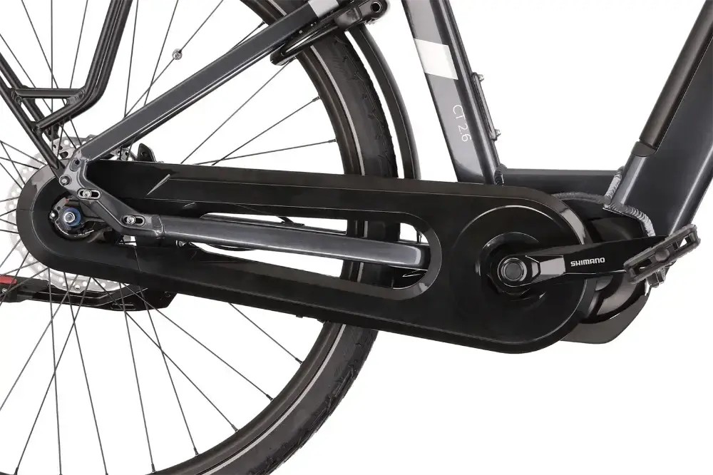 Rower elektryczny Besv CT 2.6 LS