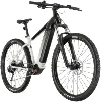 Besv Trx 1.5 Electric Bike
