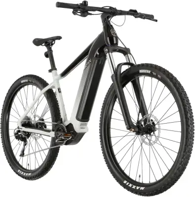 Rower elektryczny Besv Trx 1.5