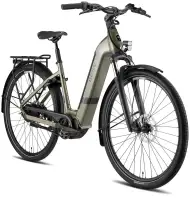 Besv CT 1.3 Electric Bike