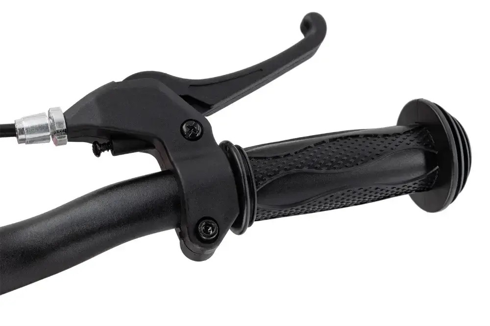 Rower biegowy Bemoov M12