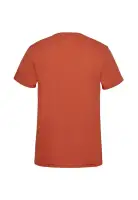 Koszulka U.S. Polo Assn Arjun Burnt ochre