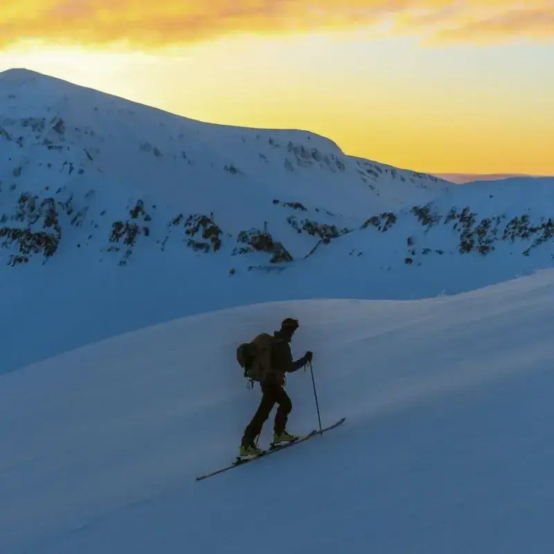 NARTY SKITUROWE FISCHER TRANSALP 86 CARBON