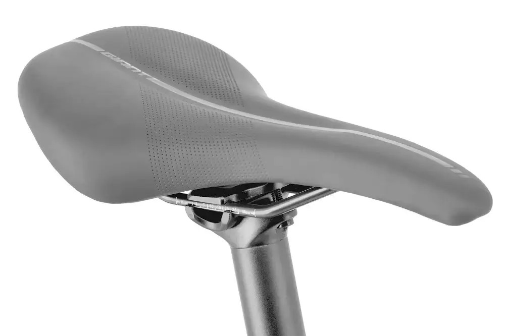 Rower elektryczny Giant Roam E+ Sta