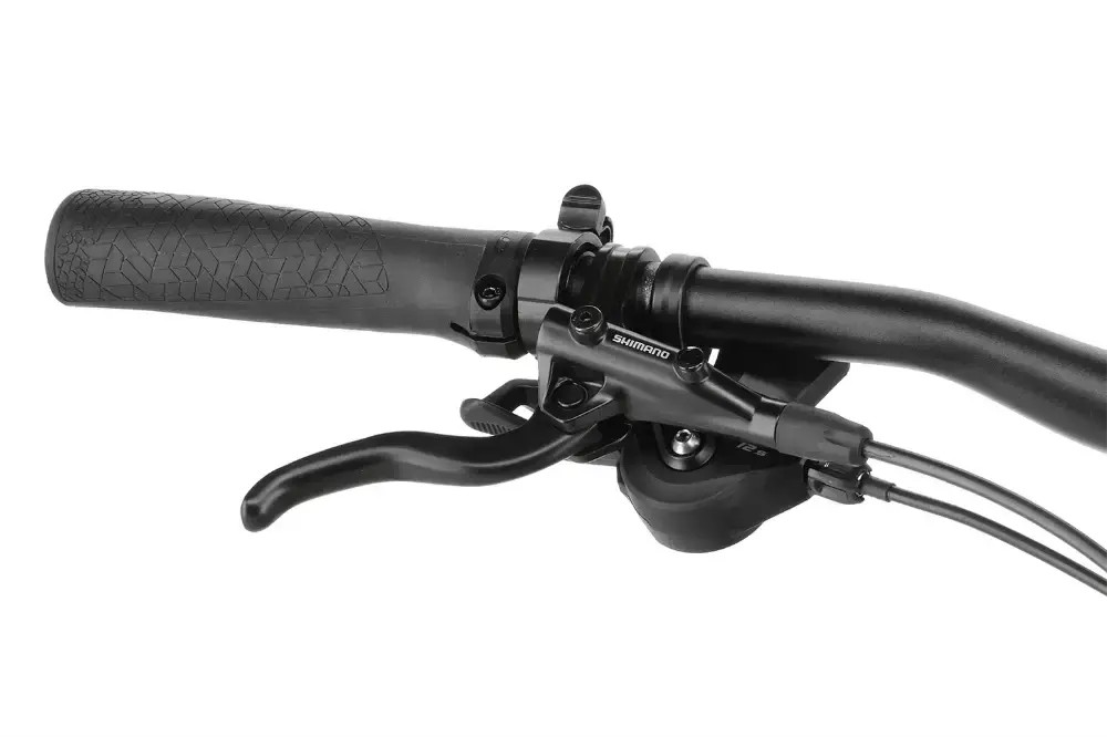 Rower elektryczny Winora Yucatan X12