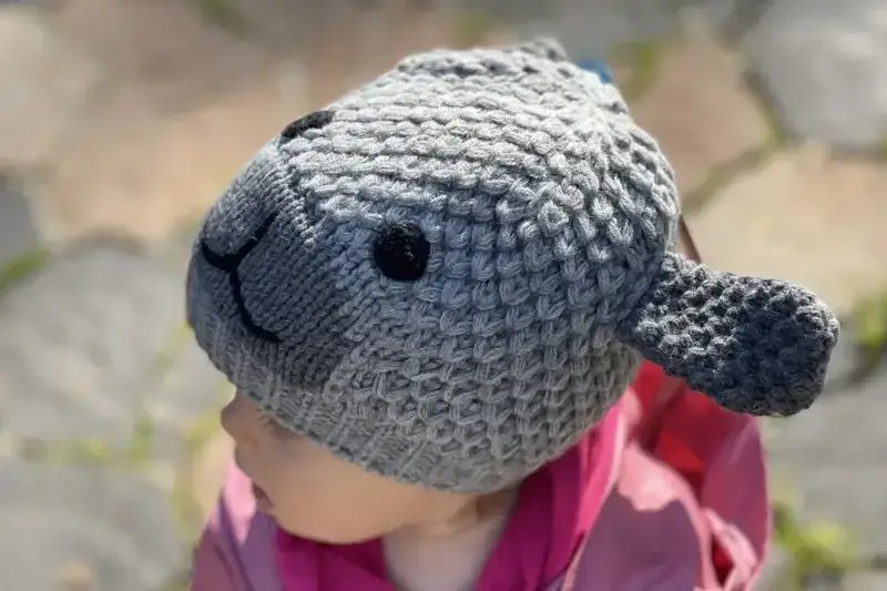 Czapka Narciarska Dziecięca Eisbar Grizzly Kids Grey 2026