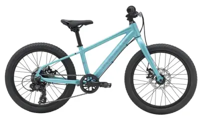 Rower dziecięcy Marin Bayview Trail 20